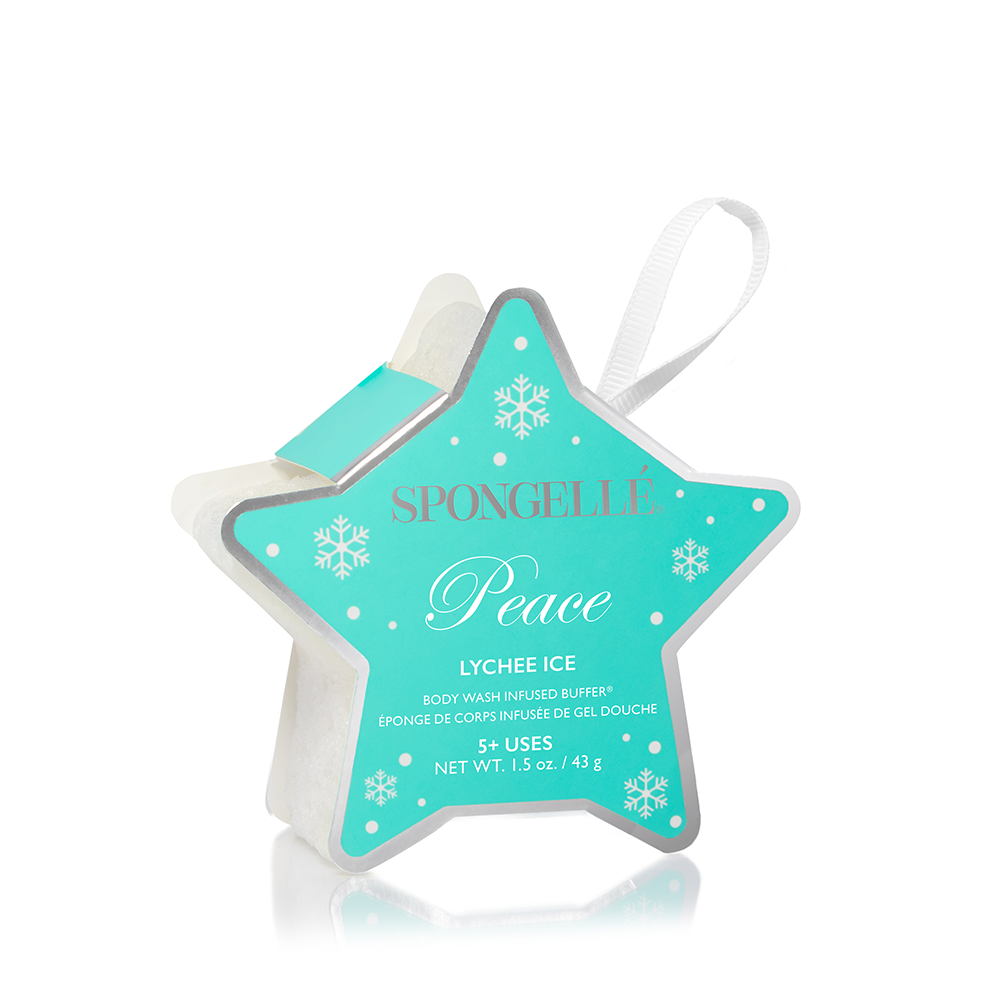 Wish Upon A Star Holiday Star Gift Set