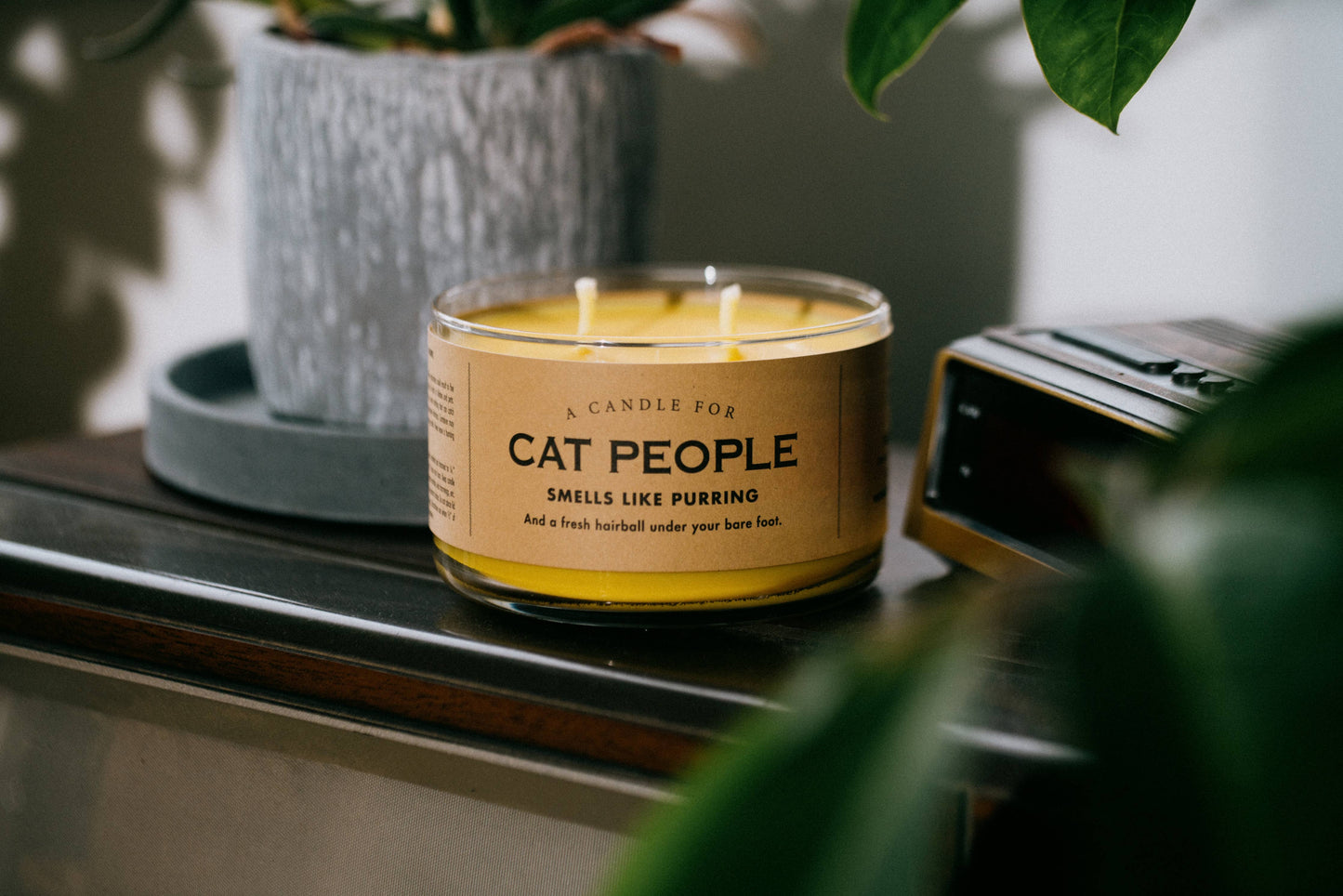 A Candle for Cat People