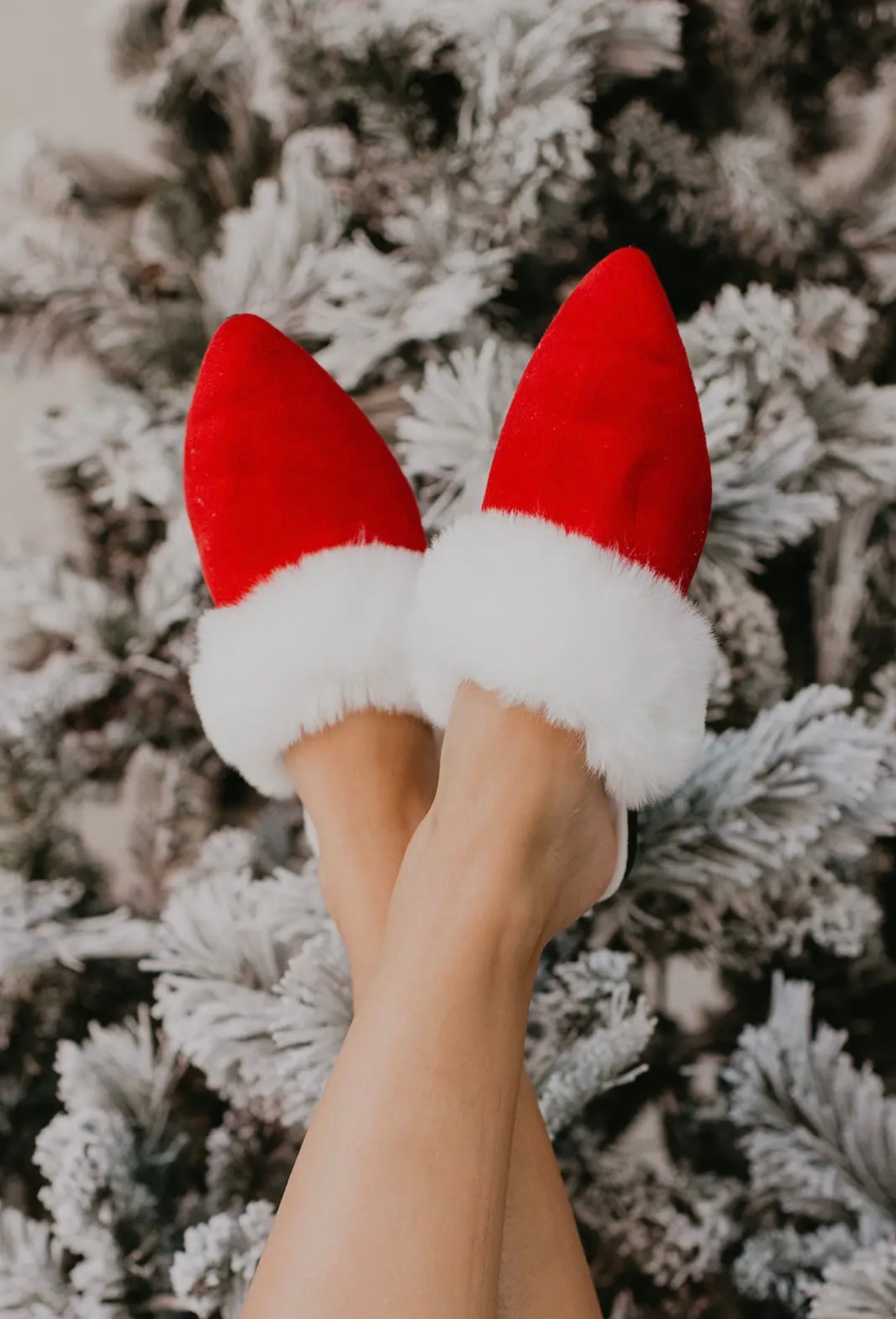 Rollasole - Santa Baby