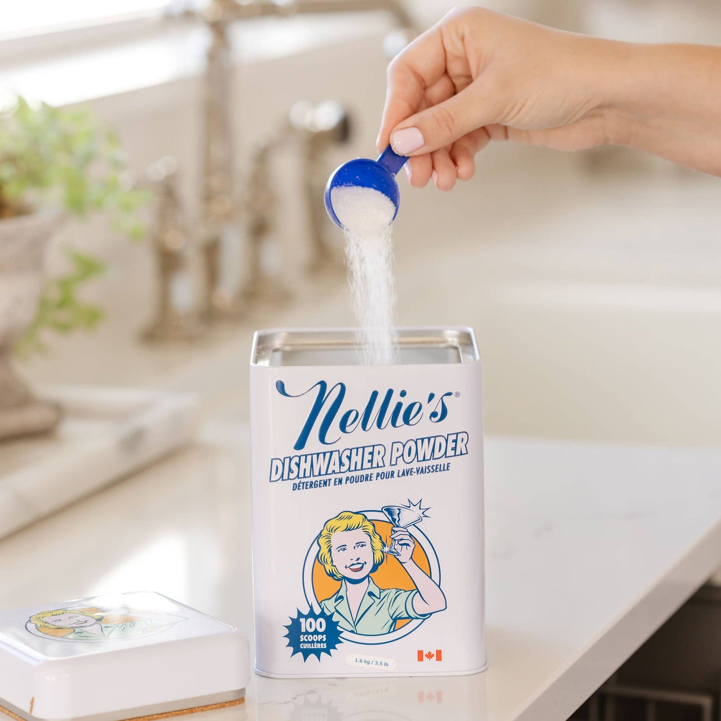 Dishwasher Powder 100 Scoops