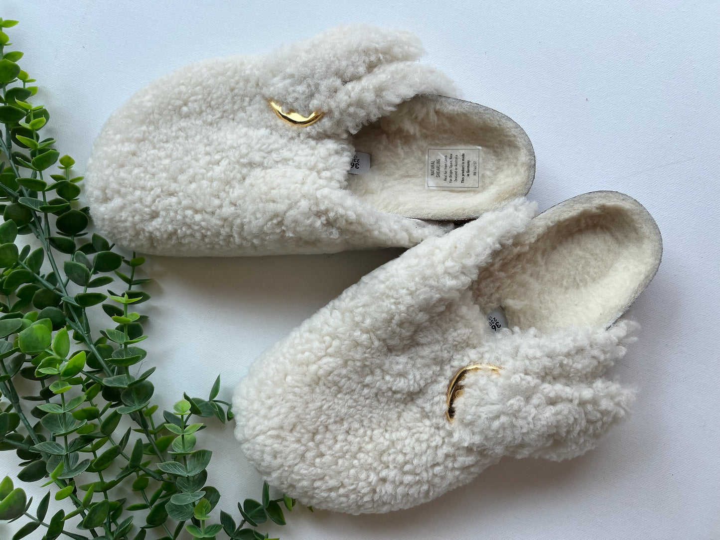 Boston Big Buckle Teddy - Eggshell