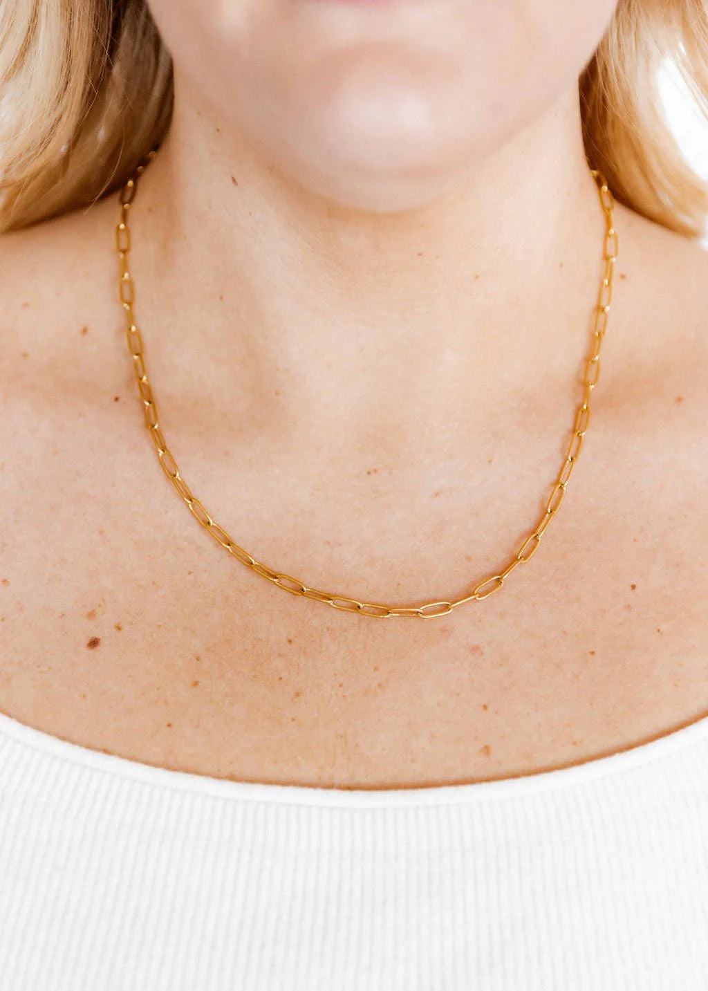 Palmer Paperclip Necklace