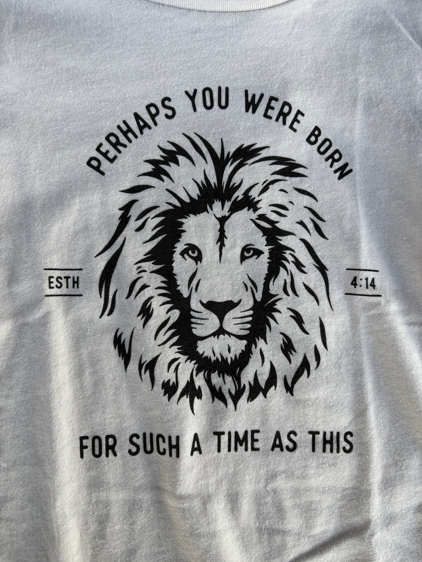 Esther Lion Graphic Kids Tee - Stone
