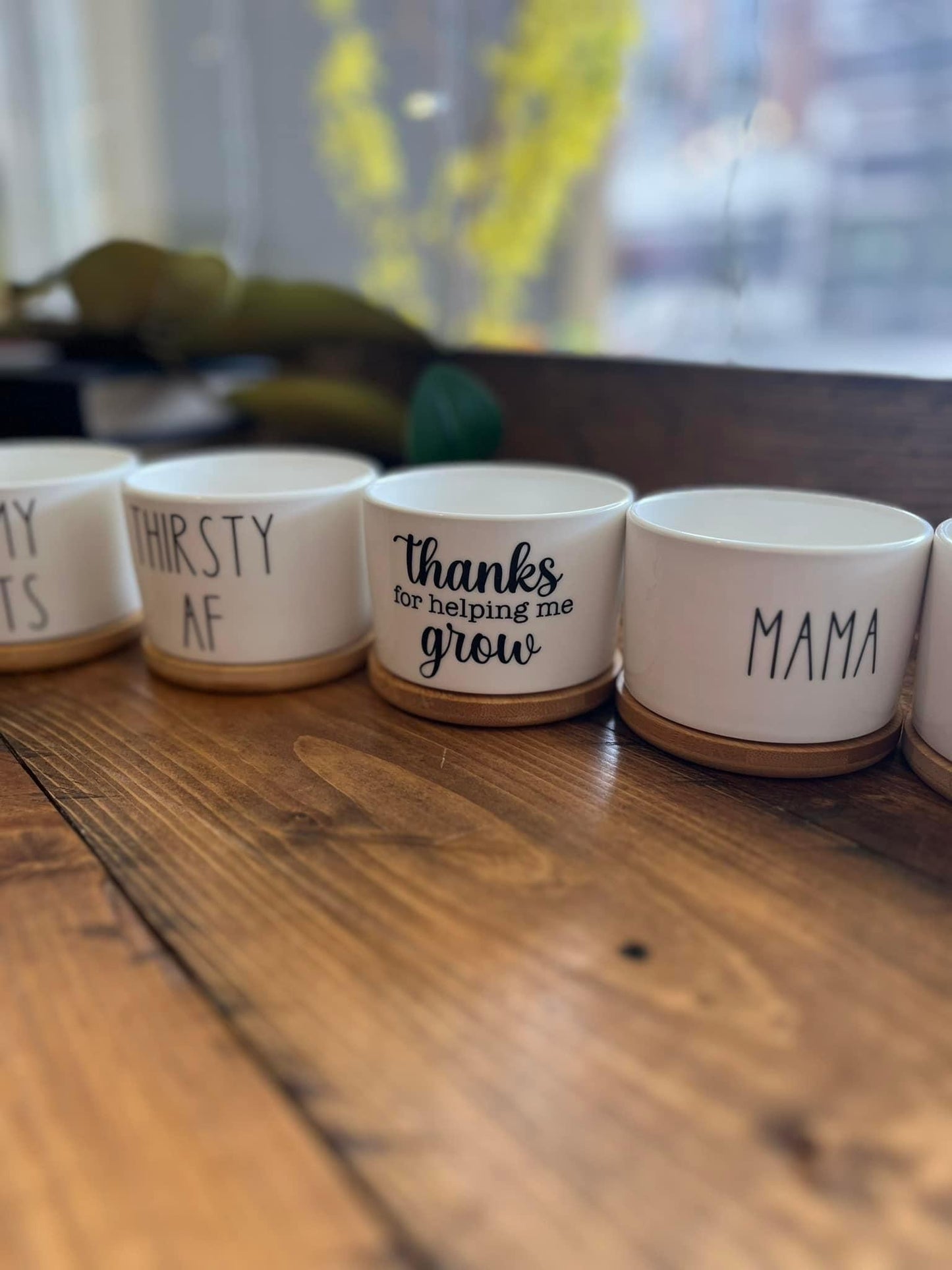Custom Succulent Pot