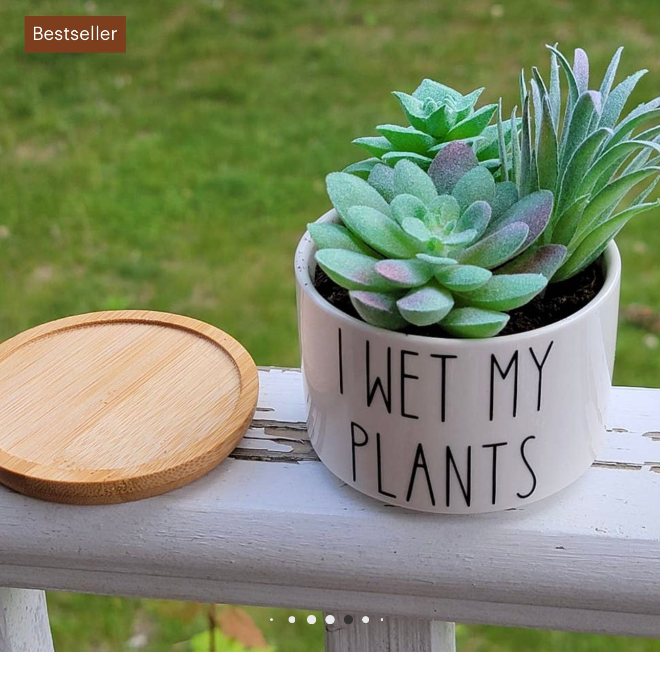 Wet My Plants Pot