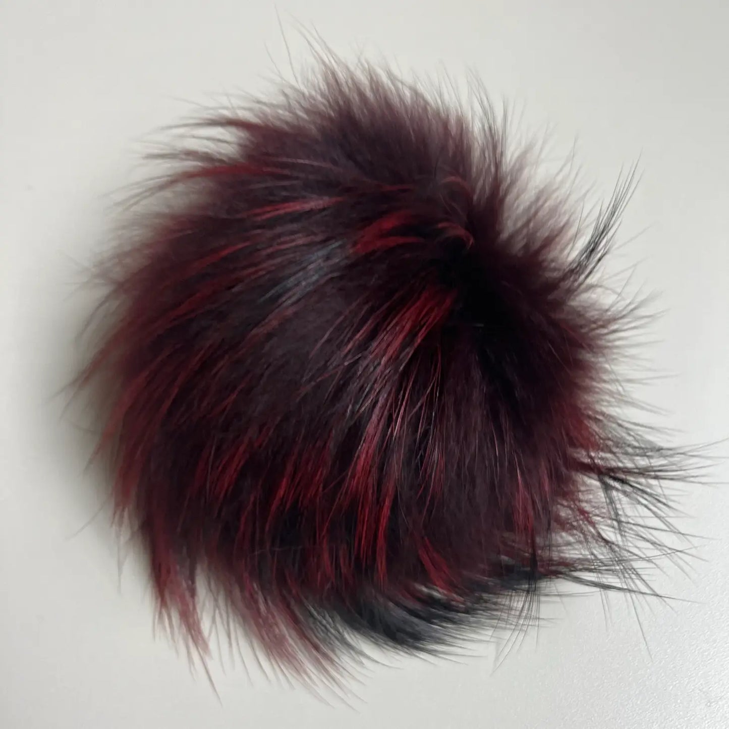 Maroon Pom