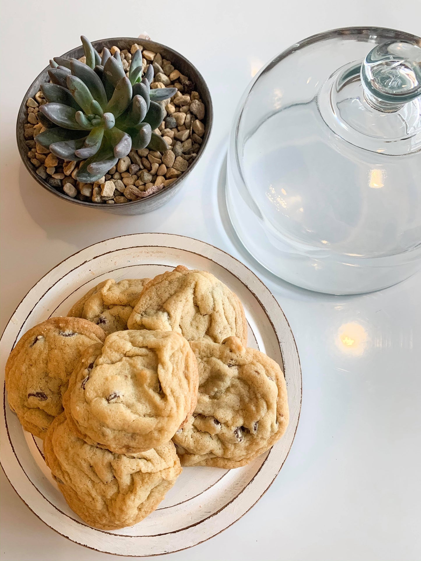 Sweet Pea's Gourmet Chocolate Chip Cookie