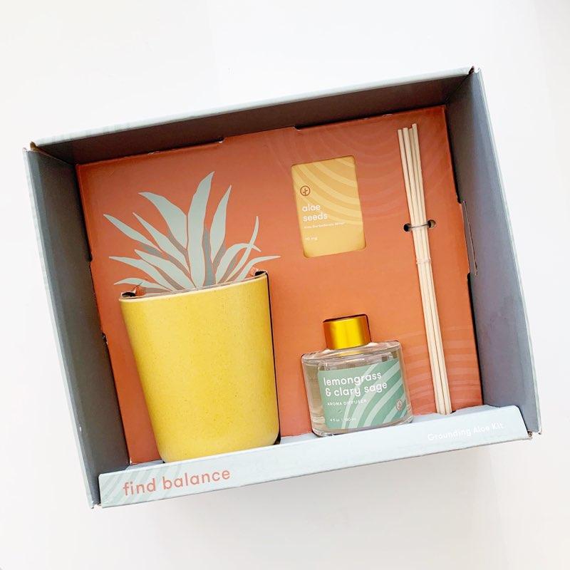 Find Balance - Grounding Aloe Kit