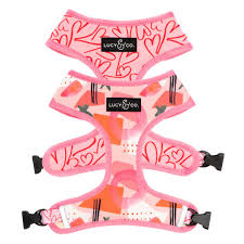 Reversible Harness