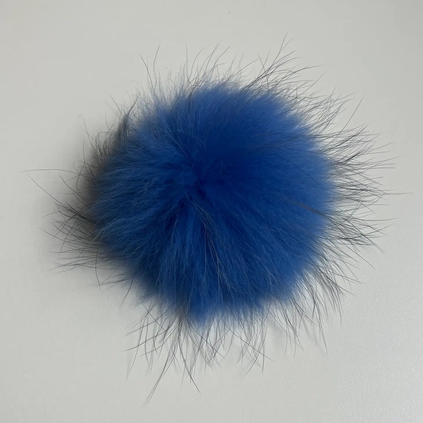 Cobalt Blue Pom