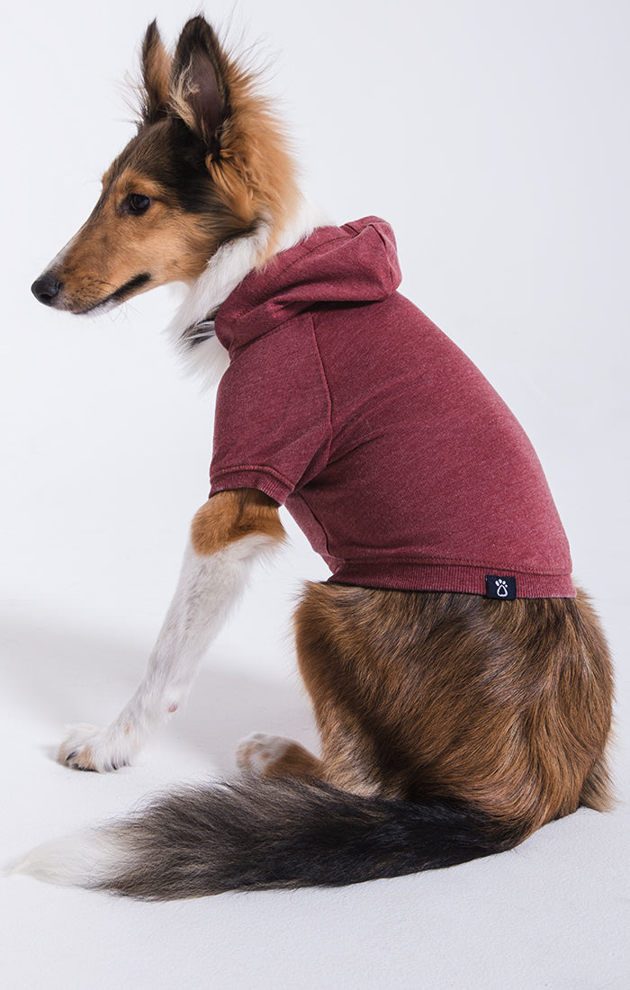 Zoo Supply Zip Hoodie - Deep Red