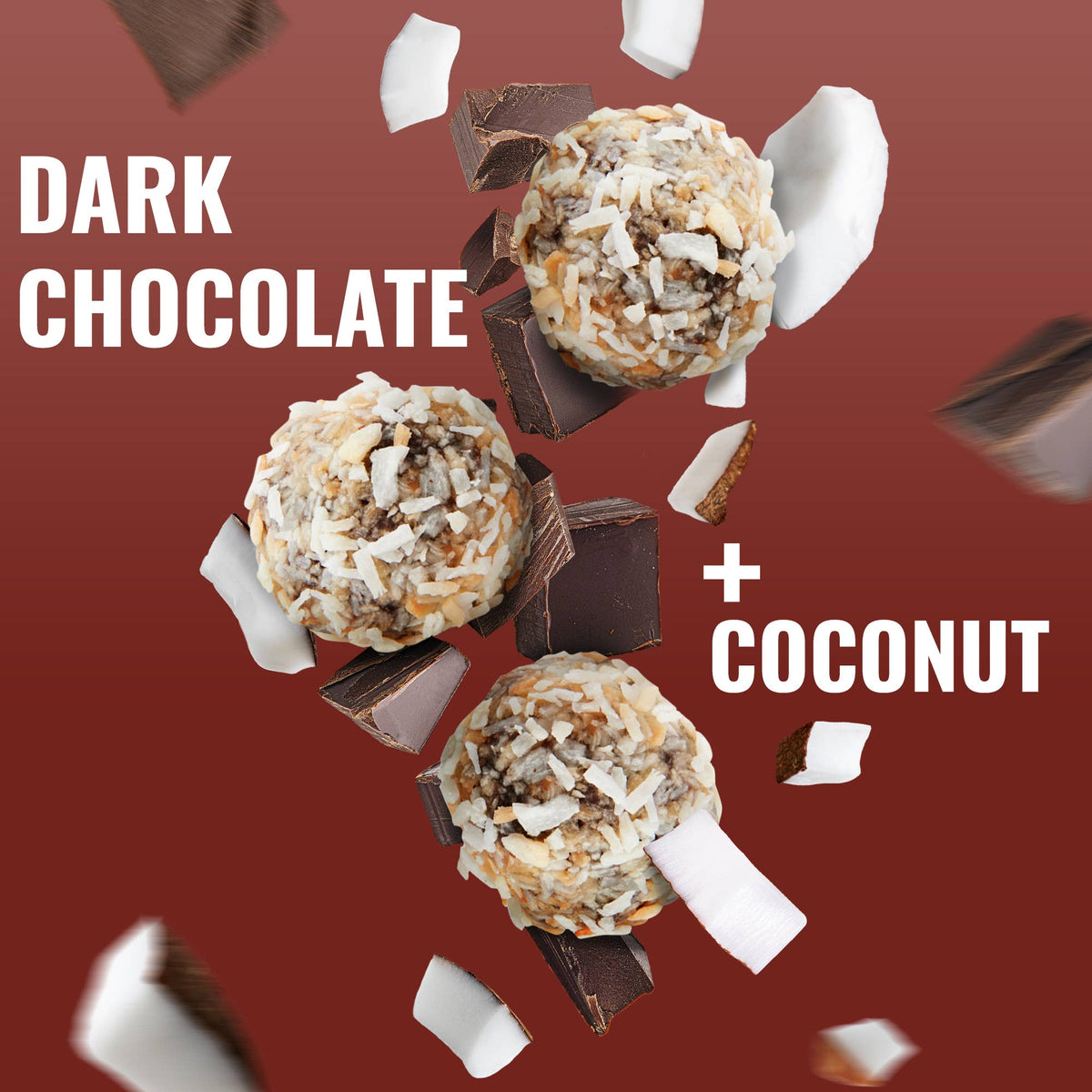 Dark Chocolate Coconut Protein Bites