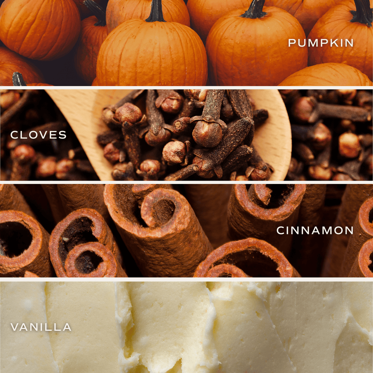 Pumpkin Spice 12oz Boxed Soy Candle