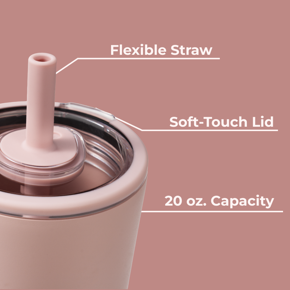 Dusty Rose HydroJug 20oz Everyday Tumbler