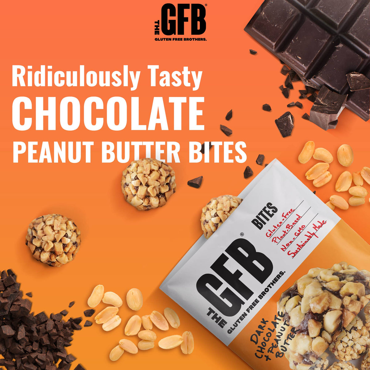Dark Chocolate Peanut Butter Protein Bites