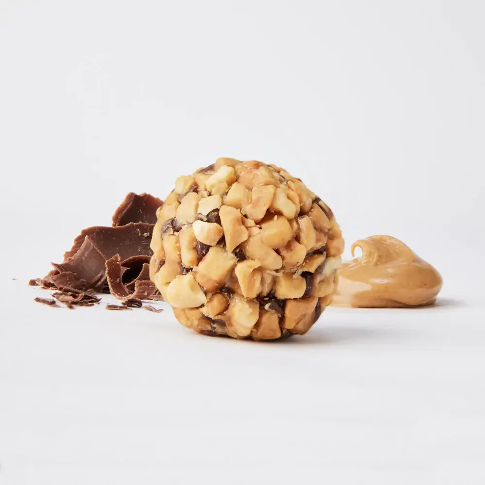 Dark Chocolate Peanut Butter Protein Bites