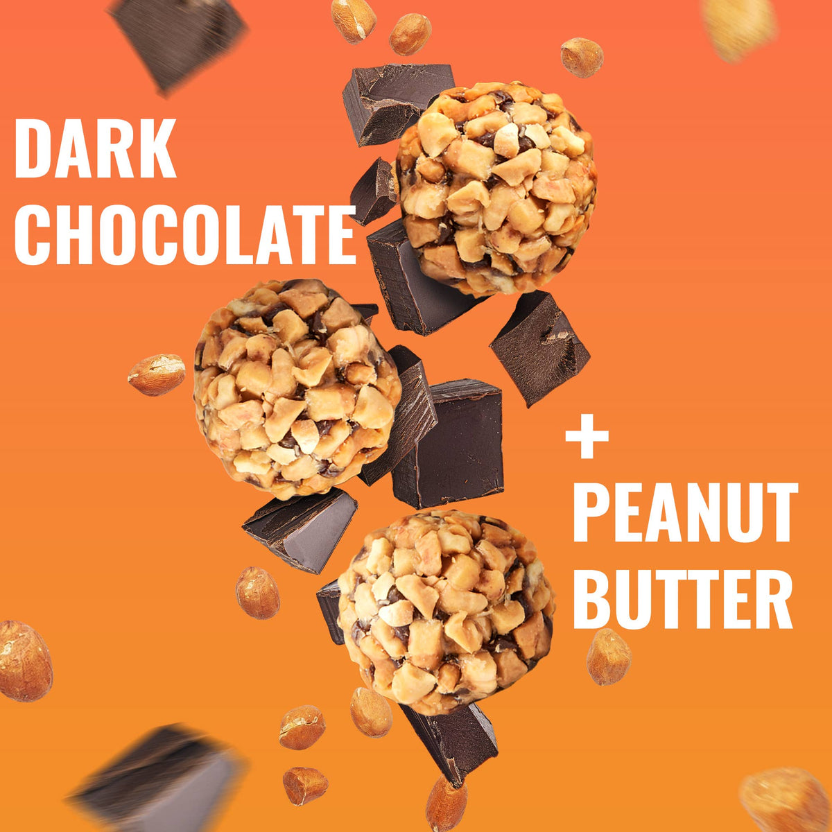 Dark Chocolate Peanut Butter Protein Bites