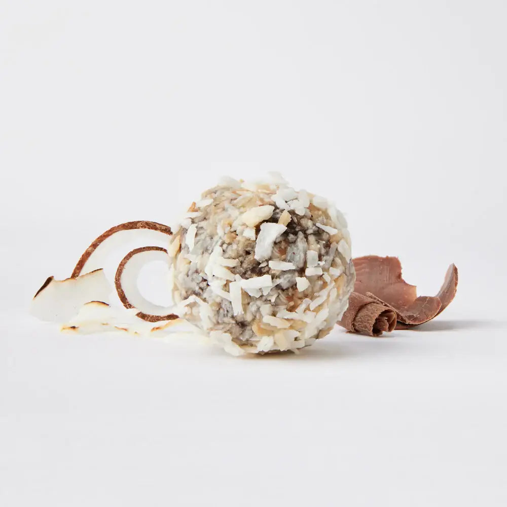 Dark Chocolate Coconut Protein Bites