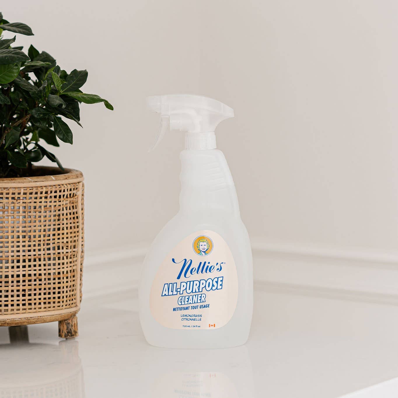 All-Purpose Cleaner - Multi-Surface Spray