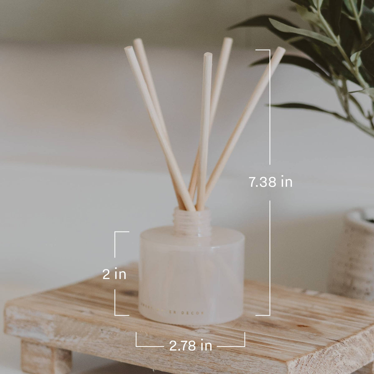 Salt and Sea Reed Diffuser