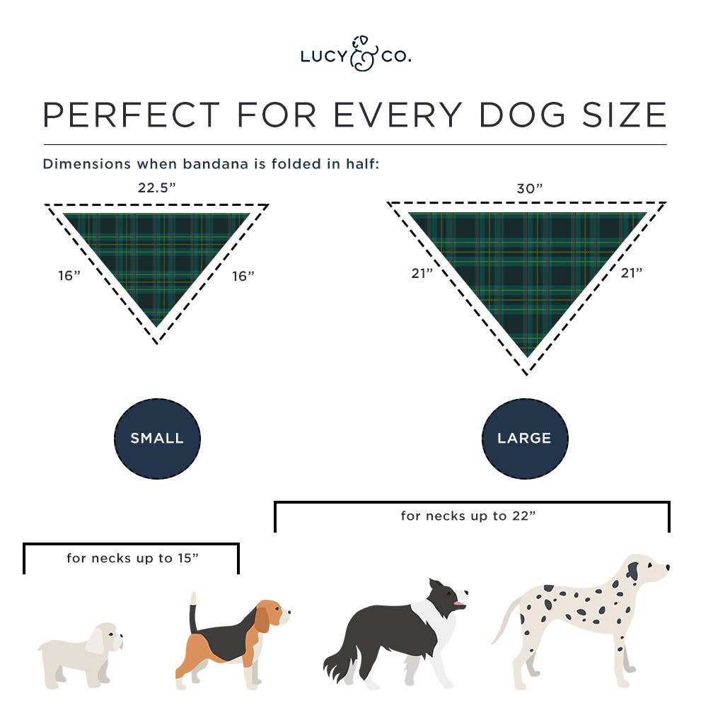 Lucy & Co Bandana