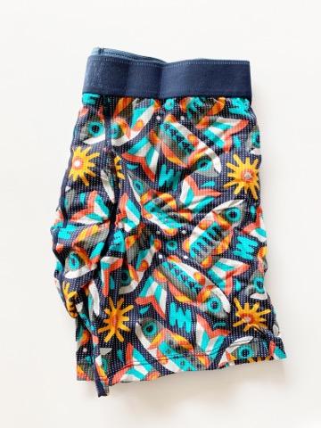 Quest Boxer Brief Fly - Multi Fish Are Fly