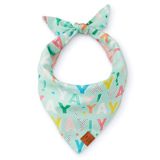 Birth Yay Dog Bandana - Aqua