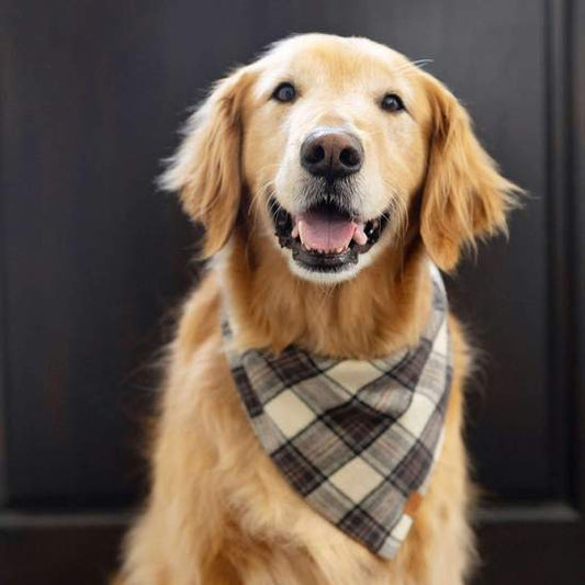 Chestnut Plaid Flannel Dog Bandana