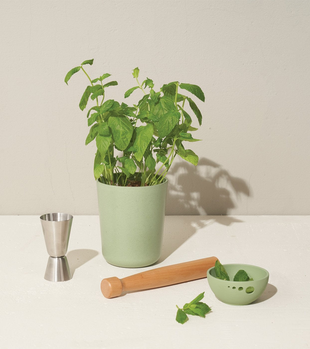 Modern Sprout Gift Set