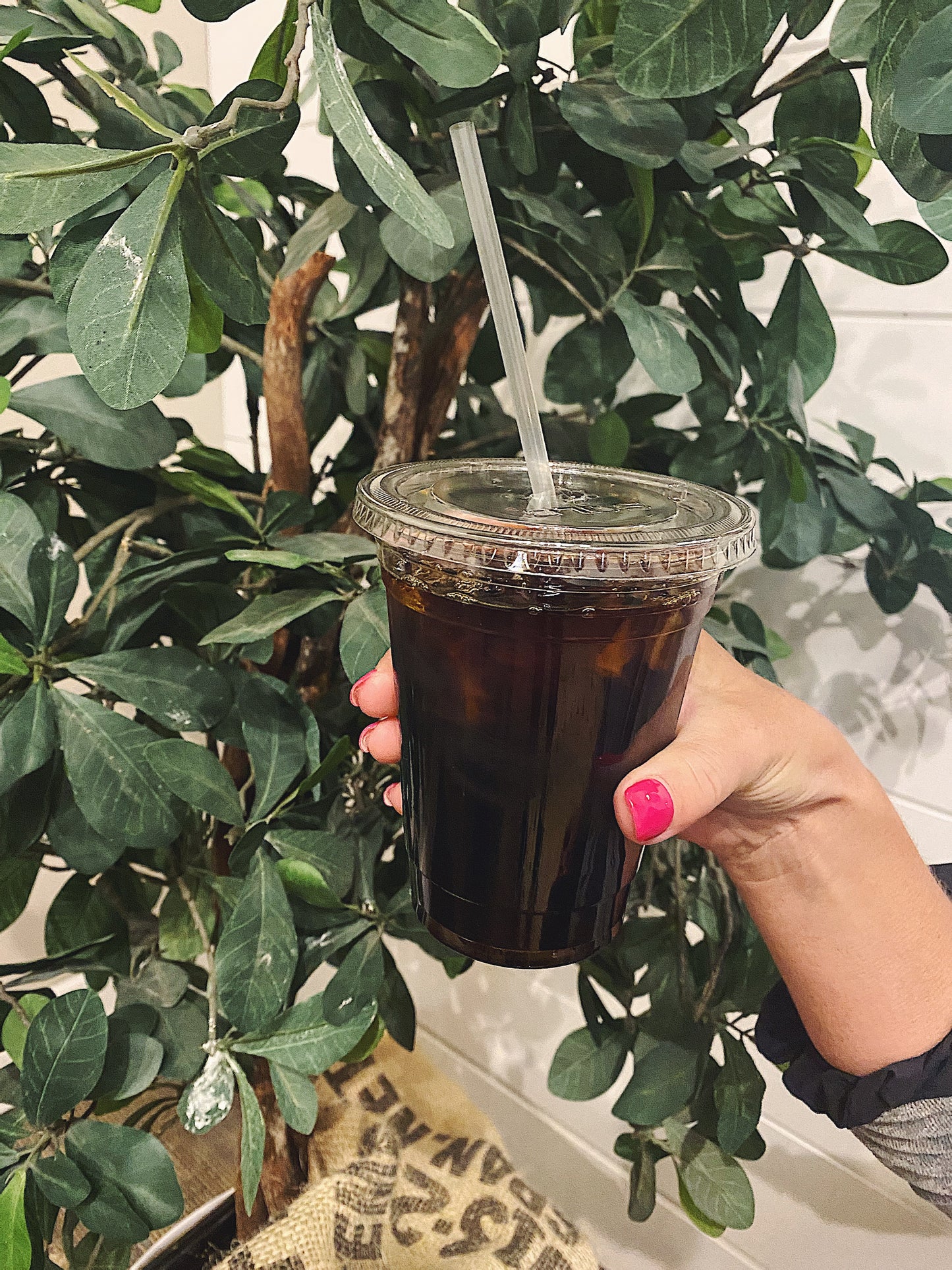 Cold Brew