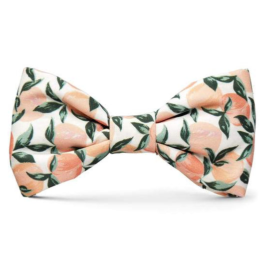 Peaches & Cream Dog Bow Tie